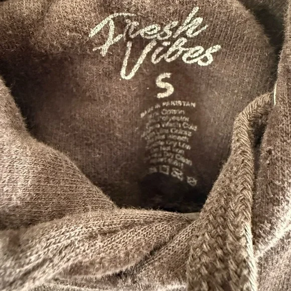Champion Fresh Vibes Gray Hoodie Men’s S - Picture 4 of 8